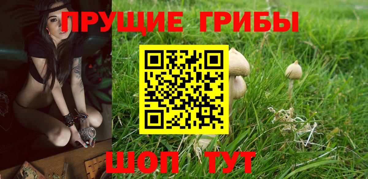 Псилоцибиновые грибы Magic Shrooms Новочебоксарск