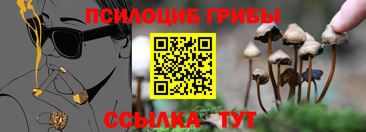 что такое наркотик  Псилоцибиновые грибы MAGIC MUSHROOMS  Вход с VPN  Новочебоксарск 